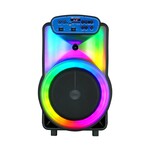 Portable Bluetooth 12" Party Speaker with Flame Lighting