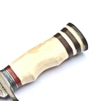 The Nightvein // Clip Point // White Camel Bone