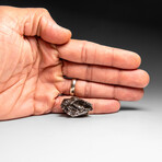 Genuine Meteorite From Campo del Cielo, Argentina 25 g