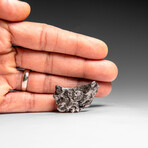 Genuine Meteorite From Campo del Cielo, Argentina 27 g