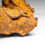 Genuine Gebel Kamil Meteorite from Egypt 360 g