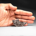 Genuine Meteorite From Campo del Cielo, Argentina 87 g
