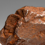 Genuine Gebel Kamil Meteorite from Egypt 65 g