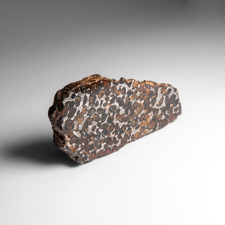 Genuine Natural Seymchan Pallasite Meteorite Slab