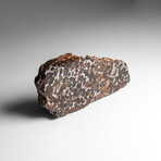 Genuine Natural Seymchan Pallasite Meteorite Slab