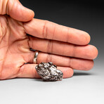 Genuine Meteorite From Campo del Cielo, Argentina 24.7 g