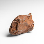 Genuine Gebel Kamil Meteorite from Egypt 65 g