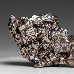 Genuine Meteorite From Campo del Cielo, Argentina 87 g