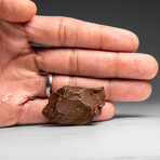 Genuine Gebel Kamil Meteorite from Egypt 65 g