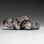 Genuine Meteorite From Campo del Cielo, Argentina 93 g