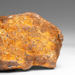 Genuine Gebel Kamil Meteorite from Egypt 252 g