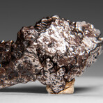 Genuine Meteorite From Campo del Cielo, Argentina 87 g