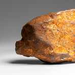 Genuine Gebel Kamil Meteorite from Egypt 252 g
