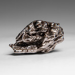 Genuine Meteorite From Campo del Cielo, Argentina 25 g