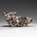 Genuine Meteorite From Campo del Cielo, Argentina 87 g