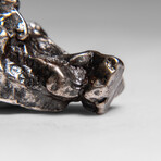 Genuine Meteorite From Campo del Cielo, Argentina 24 g