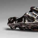 Genuine Meteorite From Campo del Cielo, Argentina 24 g