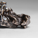 Genuine Meteorite From Campo del Cielo, Argentina 24 g