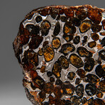 Genuine Natural Seymchan Pallasite Meteorite Slab