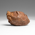 Genuine Gebel Kamil Meteorite from Egypt 65 g