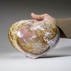 Genuine Polished Ocean Jasper Heart // 7.6 lbs