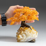 Large Genuine Citrine Clustered Gemstone Tree on Citrine Matrix // The Calming Tree