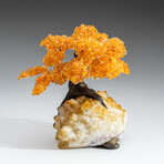 Large Genuine Citrine Clustered Gemstone Tree on Citrine Matrix // The Calming Tree