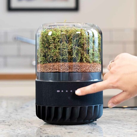 Briiv 2 Pro Air Purifier