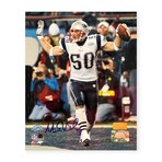 Mike Vrabel // NE Patriots // Signed Photo