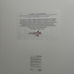 NE Patriot Greats // 28 Signatures // Signed Photo + Framed