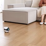 EBO Air 2 Plus Family Companion Robot (Lunar White)