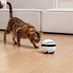 EBO Air 2 Plus Family Companion Robot (Lunar White)