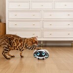 EBO Air 2 Plus Family Companion Robot (Lunar White)