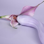 Margot // Lilac Swirl