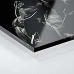 Scratchboard Rodeo VII Print on Acrylic Glass by Julie T. Chapman (16"H x 24"W x 0.25"D)