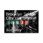 NYC Subway Station I Print on Acrylic Glass by Luke Wilson (24"H x 16"W x 0.25"D)