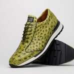 SCANNO // Ostrich Leather Sneakers // Antique Green (8)