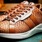 VERONA // Python Leather Sneakers // Honey (8)