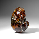 Genuine Amber from Baltic Sea