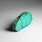Genuine Polished Malachite Stalactite Slice v.1