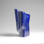 Genuine Polished Lapis Lazuli Freeform v.5
