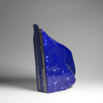 Genuine Polished Lapis Lazuli Freeform v.10