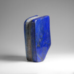 Genuine Polished Lapis Lazuli Freeform v.6