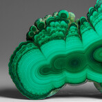 Genuine Polished Malachite Stalactite Slice v.2