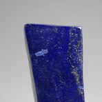 Genuine Polished Lapis Lazuli Freeform v.8