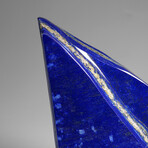 Genuine Polished Lapis Lazuli Freeform v.10