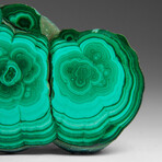 Genuine Polished Malachite Stalactite Slice v.1