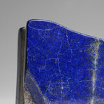 Genuine Polished Lapis Lazuli Freeform v.1