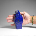 Genuine Polished Lapis Lazuli Freeform v.2