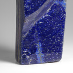 Genuine Polished Lapis Lazuli Freeform v.8